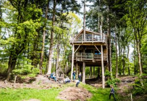 torentjeshoek treehouse boomhut